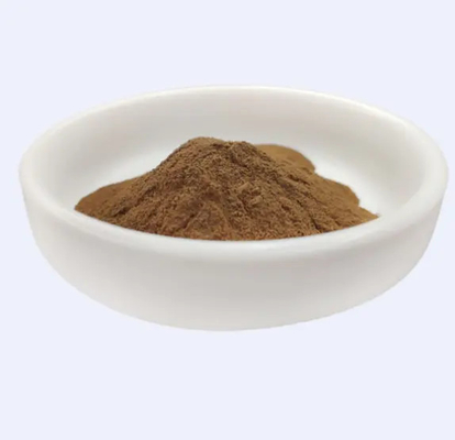 Highly Effective 100% Natural Hamamelis Virginiana Witch Hazel Extract For Cosmetics Raw Materials Shelf Life 24 Months