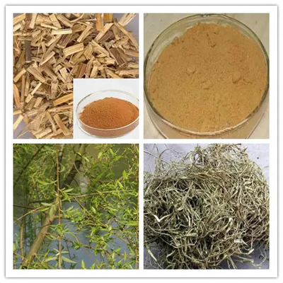 Food Additive Willow Bark Extract Salicin Brown Powder
