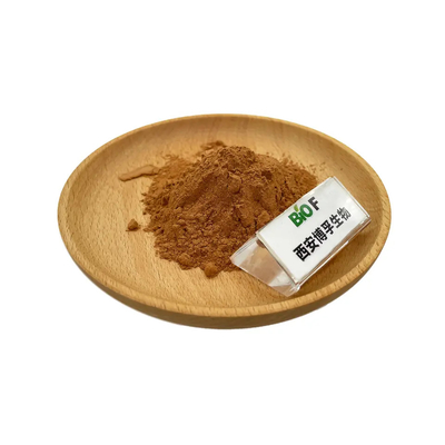 Shilajit Extract Within 50% Fulvic Acid Brown Powder For Health Food