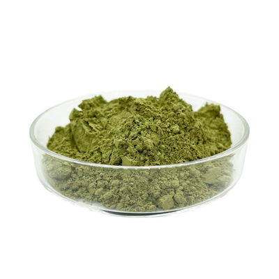 Organic 100% High Quality Pure Matcha Powder Green Tea Powder