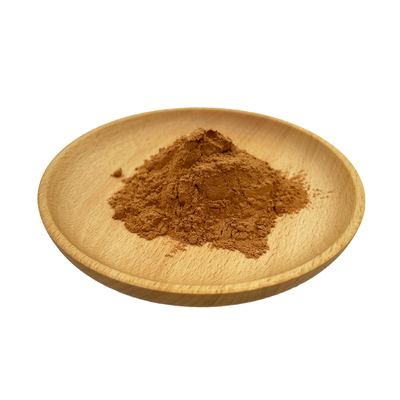 High Quality Ginkgo Biloba Extract Natural Organic GinkgoBiloba Leaf Extract Powder