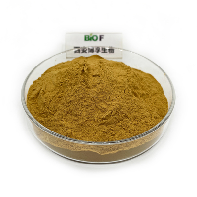 Factory Supply Wholesale  Rosehip Extract Powder Food Grade Rosehip Powder in Bulk
