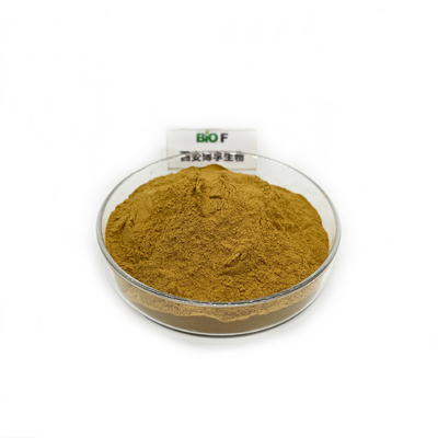Factory Supply Wholesale  Rosehip Extract Powder Food Grade Rosehip Powder in Bulk