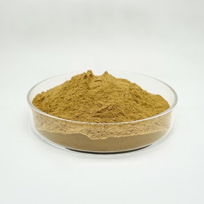 Natural Organic Dandelion Root Extract Powder Dandelion Powder