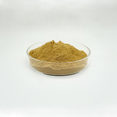 High Quality Pure Natural  CAS 97404-52-9 Rhodiola Rosea Extract Powder In Stock