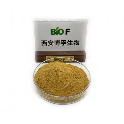 Bulk Natural Organic Cas18524-94-2 Corus Officinals Extract Powder Cool Dry Storage