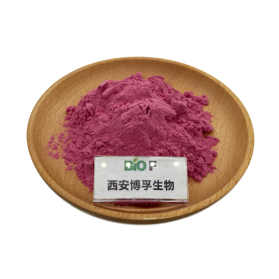 Factory Supply Wholesale Price Cranberry Extract Powder Cranberry Juice Powder Cranberry Powder