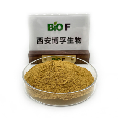 Hot Selling Health Care Supplement 20:1 Nettle Leaf Extract Powder