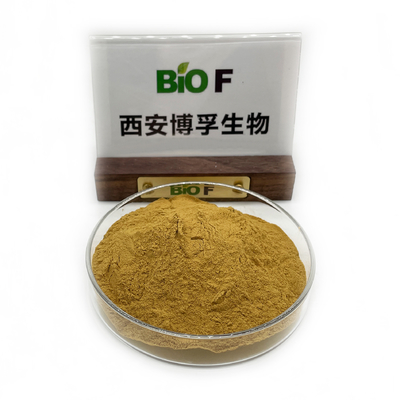 Hot Selling Health Care Supplement 20:1 Nettle Leaf Extract Powder