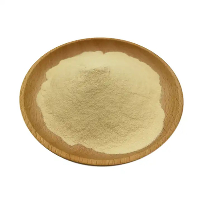 High Quality Psyllium Husk Powder 95% 99% Psyllium Seed Husk Extract Powder in Bulk
