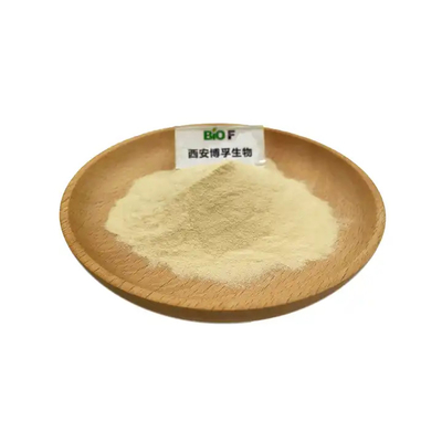 High Quality Psyllium Husk Powder 95% 99% Psyllium Seed Husk Extract Powder in Bulk