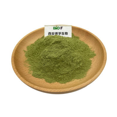 Natural Organic Hemp Seed Protein Powder Supply with 2 Years Shelf Life Guaranteed