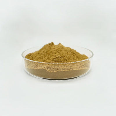 BIOF Supply Health Care Products Oyster Mushroom Extract Powder Health Care Products