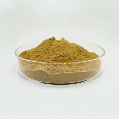BIOF Supply Health Care Products Oyster Mushroom Extract Powder Health Care Products