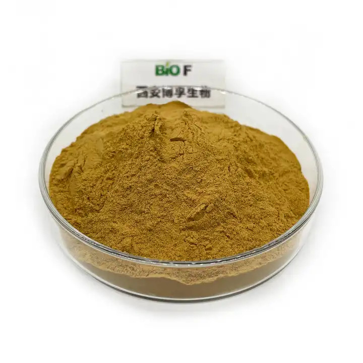 Brown Light Natural Cosmetics Raw Materials Hami Melon Fruit Extract Powder