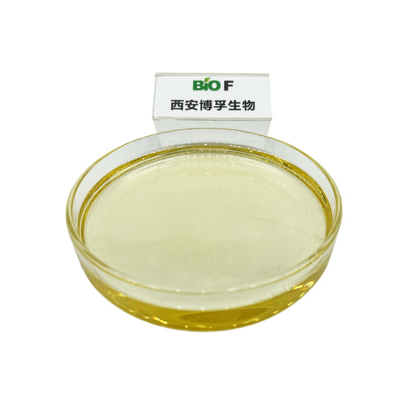 Pure Natural Organic Rose Essential Oil in Bulk Cool Dry Place Storage