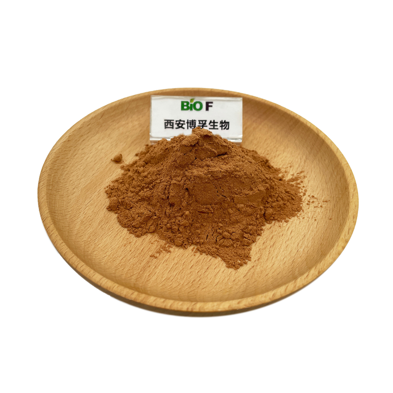 Factory Supply Wholesale Natural Organic Maca Root Extract Maca Extract Powder with Best Price