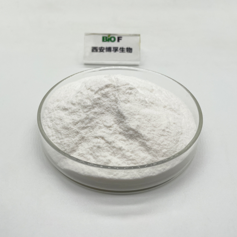 Zinc Gluconate Powder CAS 4468-02-4 in Bulk with 24 Months Shelf Life