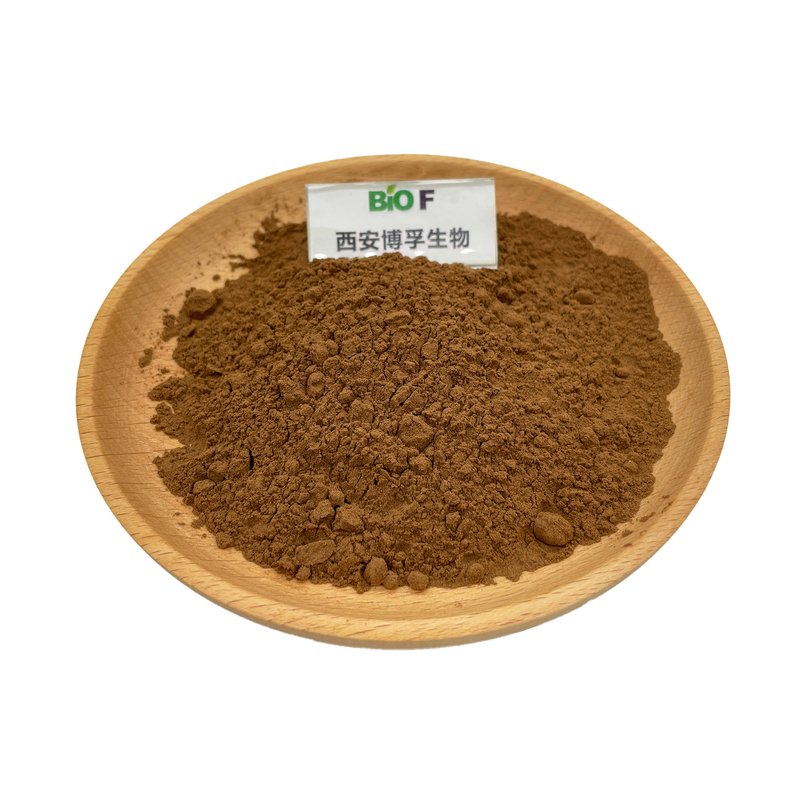 High Pure Herbal Extract Almond Shell Powder in Bulk
